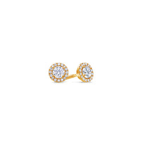 Elle Diamond Stud Earrings (0.70 Carat Total)