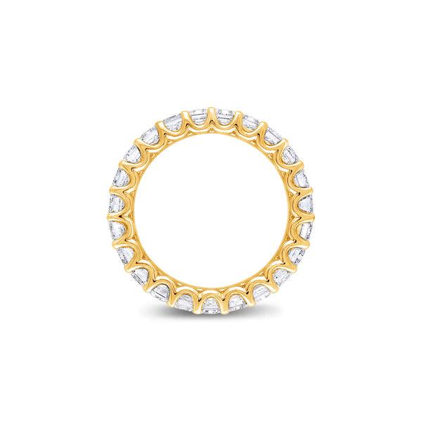 Céleste Eternity Ring (Emerald)